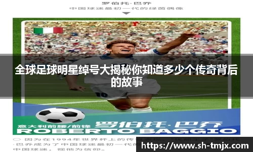 韦德bevictor