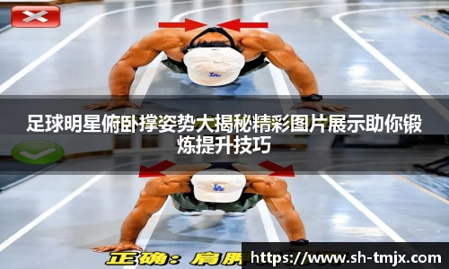 韦德体育